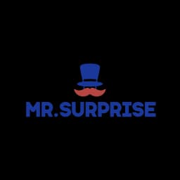 MR.Surprise width:2565 height:2565